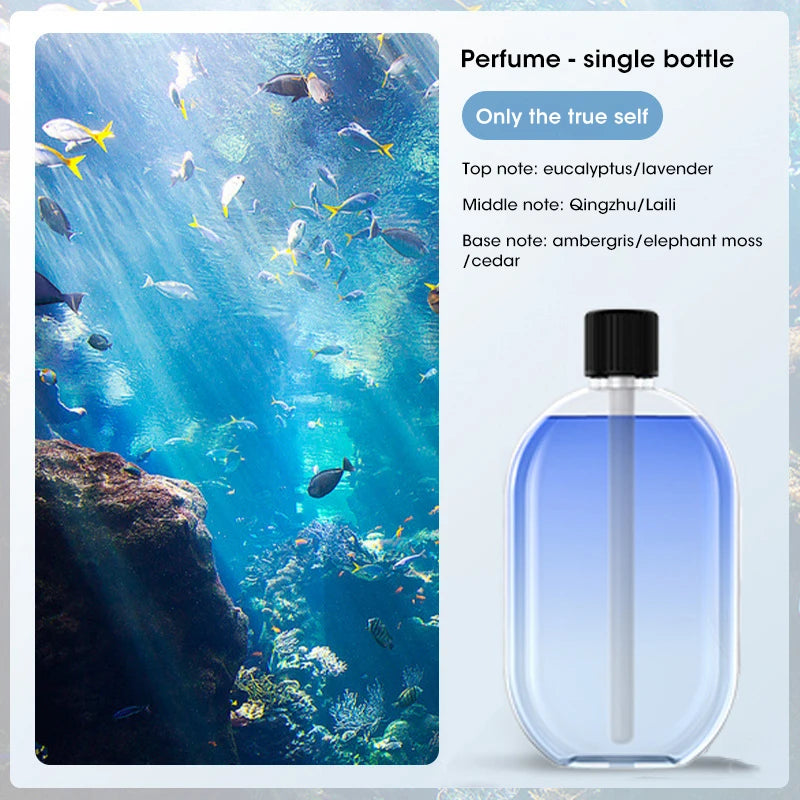 Smart Essential Oil Difuser